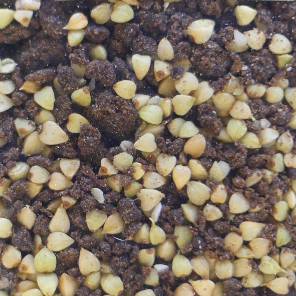 Bio - Carobmüsli in Rohkostqualität