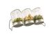 3er Set, Keimglas (750ml) mit Edelstahlsieb und Abtopfgestell