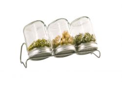 3er Set, Keimglas (750ml) mit Edelstahlsieb und Abtopfgestell
